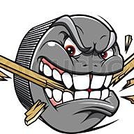 Illinois Ice Cracker logo